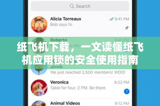 纸飞机下载，一文读懂纸飞机应用锁的安全使用指南