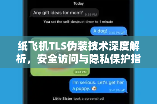纸飞机TLS伪装技术深度解析，安全访问与隐私保护指南
